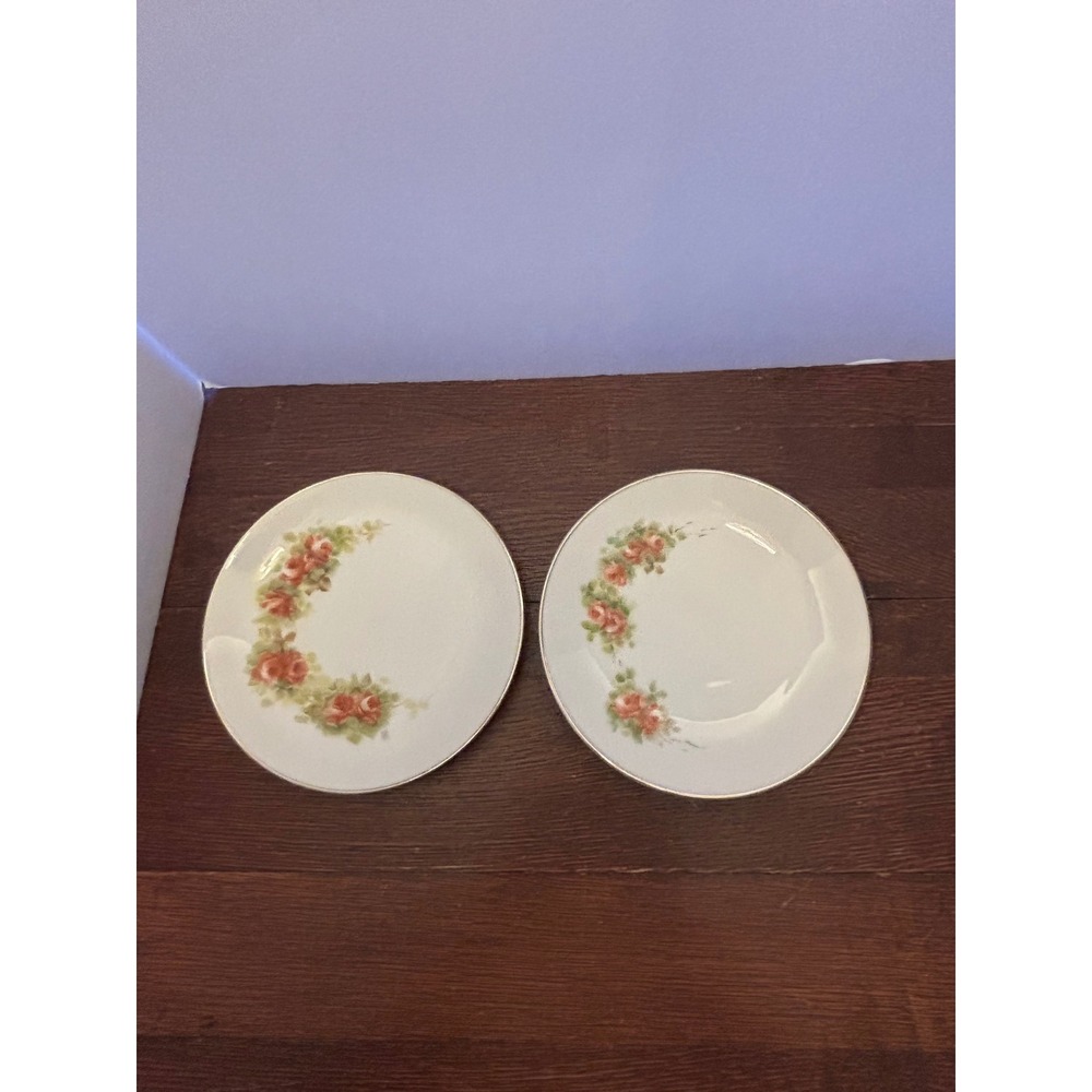 Vintage Rosenthal Eastern Air Lines Plates H Harris Signed Rose Floral Set of 2